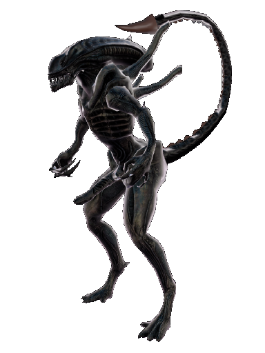 SurverX Alien for Enlit3d's HR2