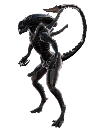 More information about "SurverX Alien for Enlit3d's HR2"