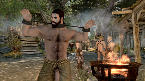 More information about "Troubles Of An Heroïne Males Addon"