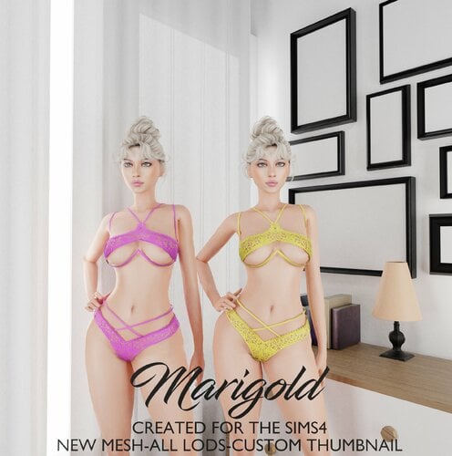 More information about "MARIGOLD TS4- NANIA"