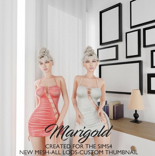 More information about "MARIGOLD TS4- JUBI DRESS"