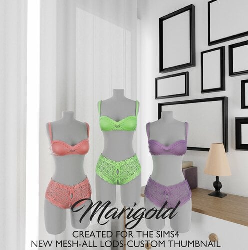 More information about "MARIGOLD TS4- SALWA"