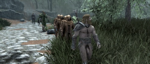More information about "Populated Lands, Roads, and paths, Males addon"