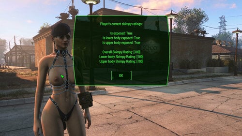 More information about "Skimpy Armour Keyword Injector"