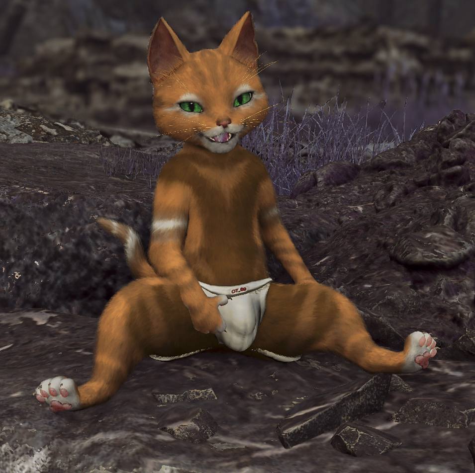 Monster Hunter Wilds - Palico Jockstrap