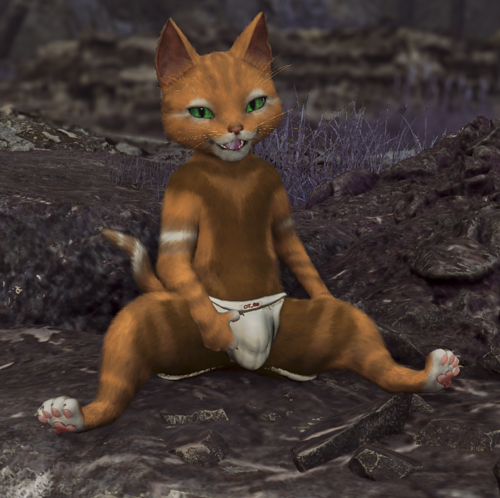 More information about "Monster Hunter Wilds - Palico Jockstrap"