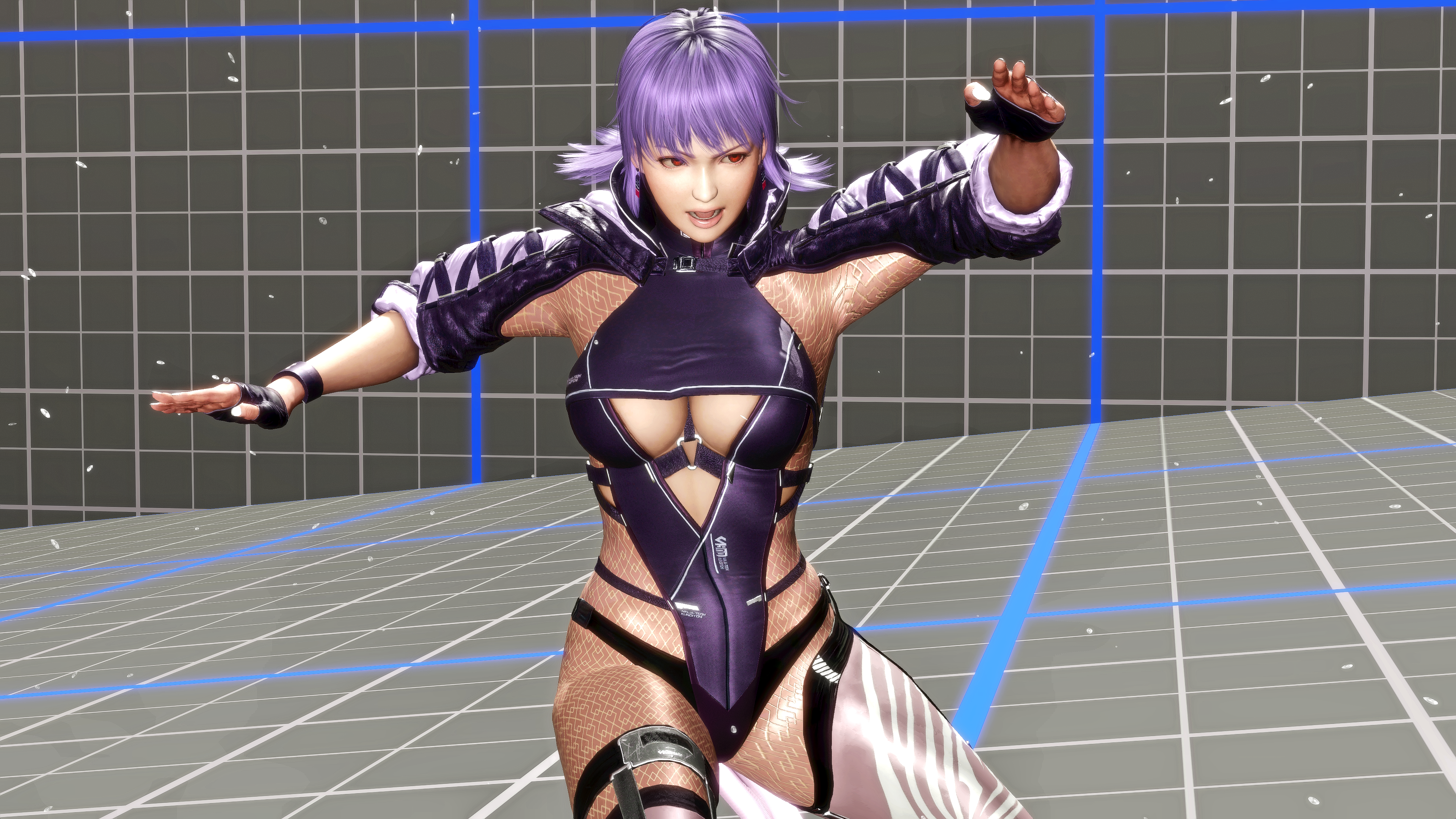 NG4 Ayane's Default Outfit