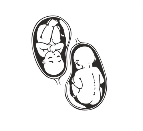 More information about "UrNxT_baby_2_brush.package"