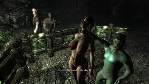 More information about "Player Slavery Scenarios FaceGen and Key Patch"