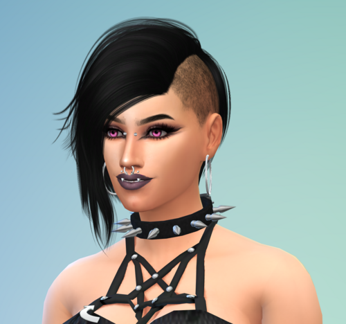More information about "TS4 - Spiked Collar"