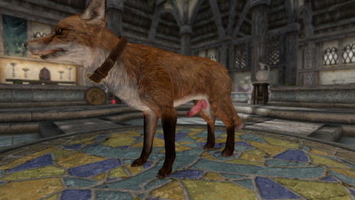 More information about "Pets of Skyrim Creation Club ABC/MNC Patch"