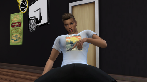 More information about "Heated Rivalry - Stupid Canadian Wolf Bird T-shirt."