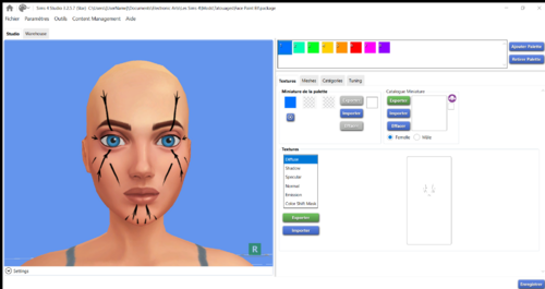 More information about "Face Paint Elf"