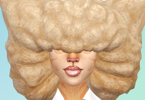 More information about "Warin Wool"