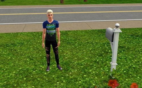 More information about "Sims (2 part)"