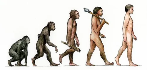 More information about "evolution of body traits"
