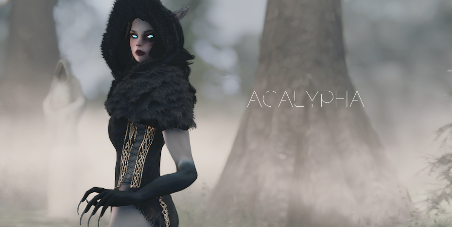 Acalypha SE - Fully voiced follower