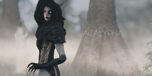More information about "Acalypha SE - Fully voiced follower"