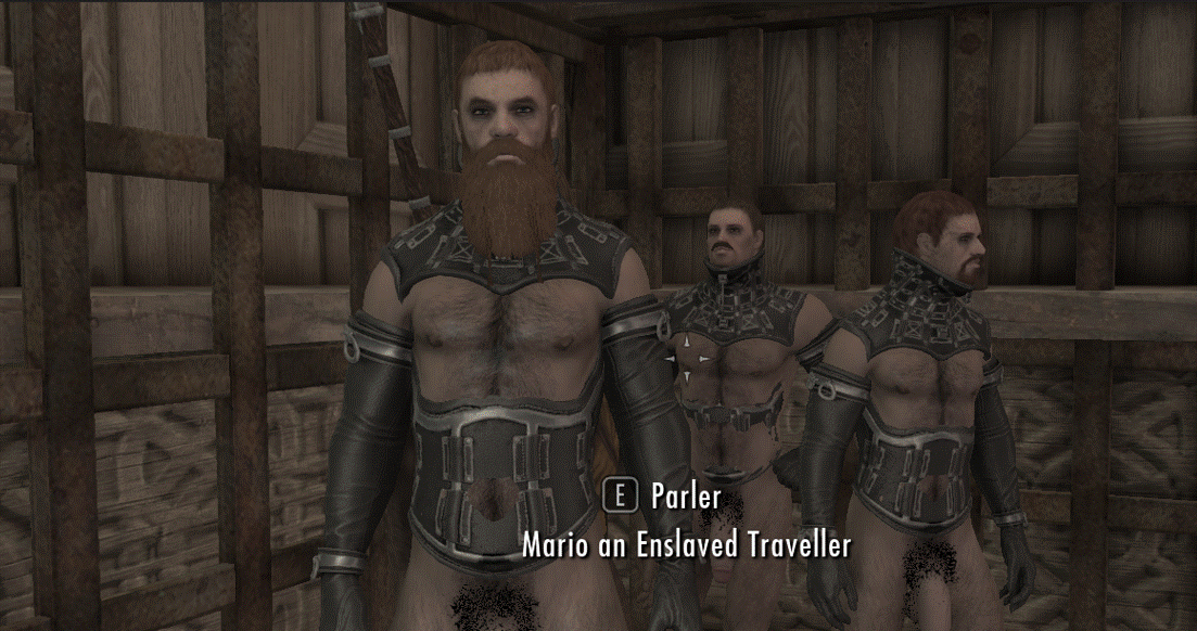 More information about "Slaverun Reloaded Males Addon"