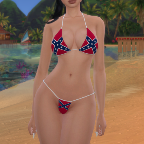 More information about "Confederate flag bikini"