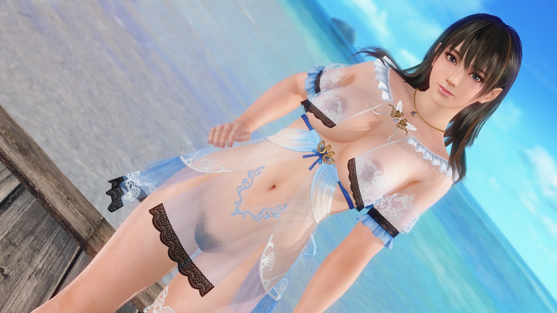 SSR Voyage Swan