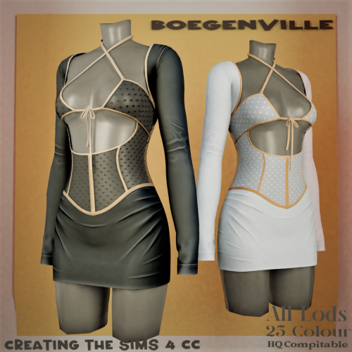 More information about "Boe_Analisa Dress Transparent"