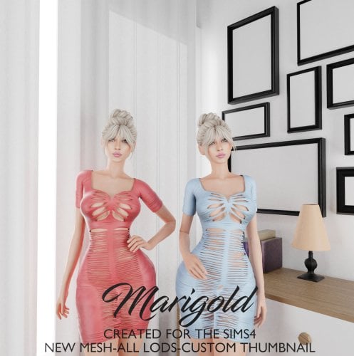 More information about "MARIGOLD TS4 ARIANA DRESS"