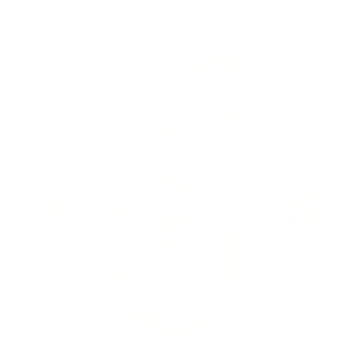 More information about "Magic Portal Dicks"