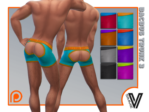 More information about "SV Backside Business Trunk 3"