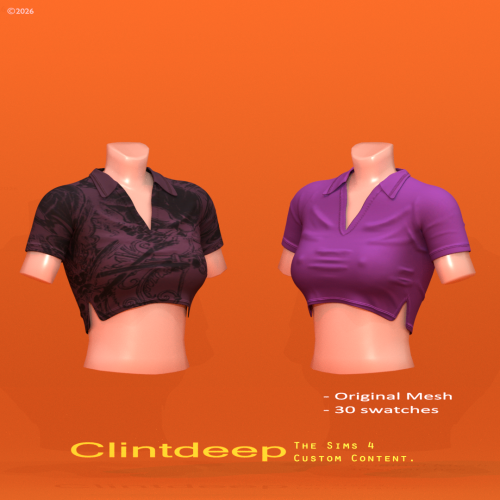 More information about "Clintdeep TS4 CC Harper Crop Top"