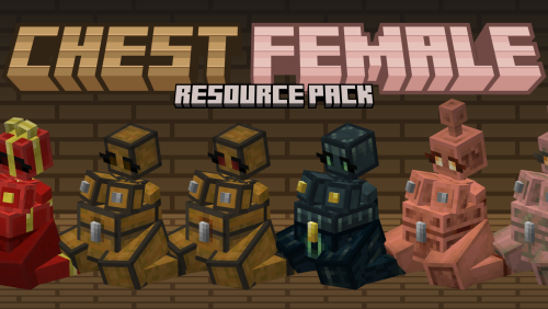 More information about "Minecraft - Chest Female (resource pack)"