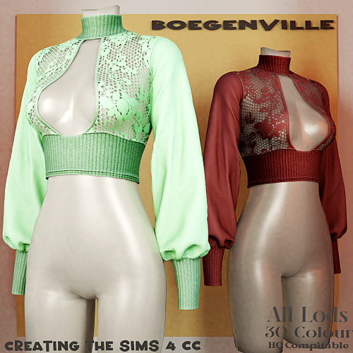 More information about "Boe_Fabiola Top Elegant"