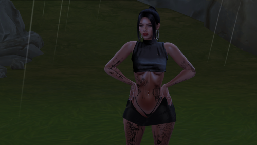 More information about "Model Sim 2"