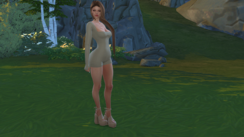 More information about "Model Sim"