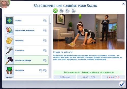 More information about "Maid Career par Home Lacter - version"
