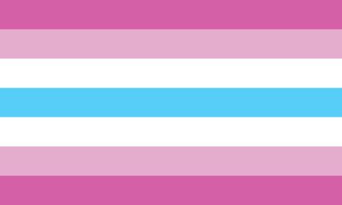 More information about "FEMBOY FLAG"