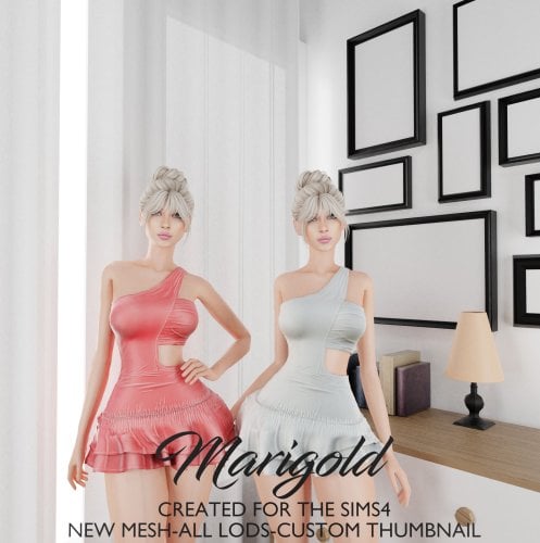 More information about "MARIGOLD TS4_ MENINAVIPLOJA"