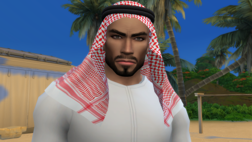 More information about "Omar Al-Hassan"