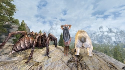More information about "Compatibility Patch for Fury - Animal Taming of Skyrim & More Nasty Critters"