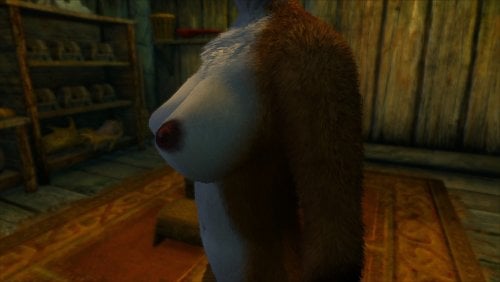 More information about "Lykaios fluffy fur 2 - Fox textures"