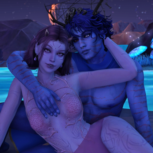 More information about "Sims release # 1 - SIXAM"