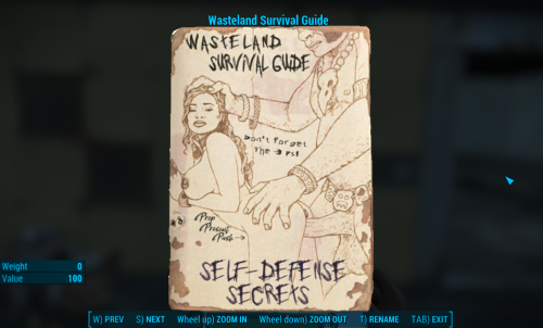 More information about "Lore Friendly Magazines [Live & Love, Wasteland Survival Guide]"