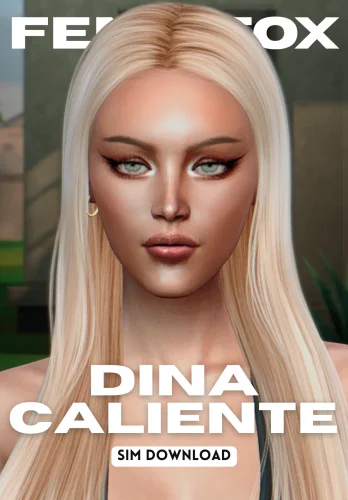 More information about "Dina Caliente Townie Makeover"