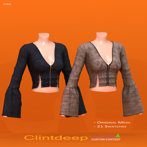 More information about "Clintdeep TS4 CC - Avalyn Velvet Crop Top"