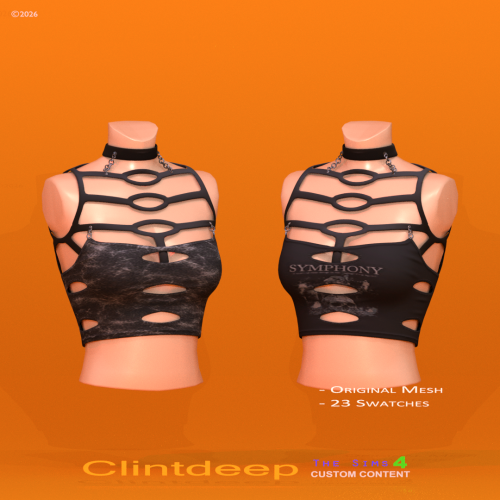 More information about "Clintdeep TS4 CC - Alliana Crop Top"