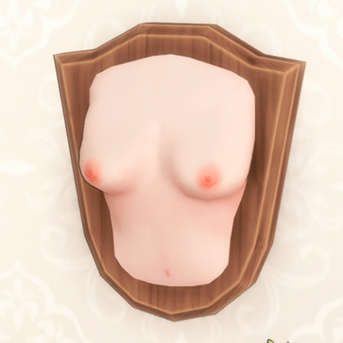More information about "Bust Trophy 🎀"