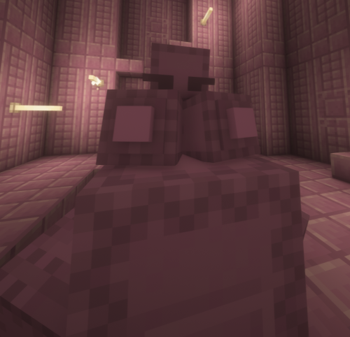 More information about "female shulker box"