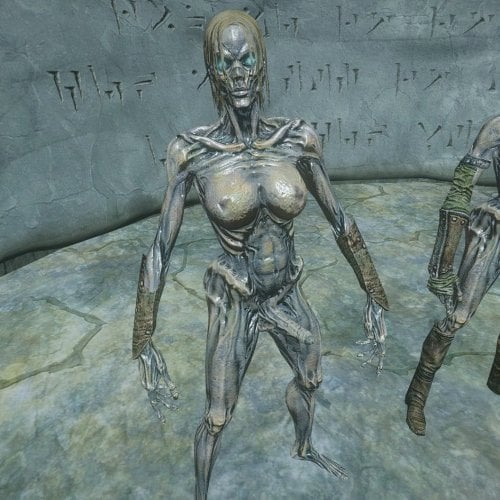 More information about "Futa Draugr for MNC"