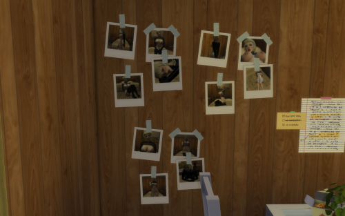 More information about "Perverted Polaroids 3 - Trans girl bondage and leather"
