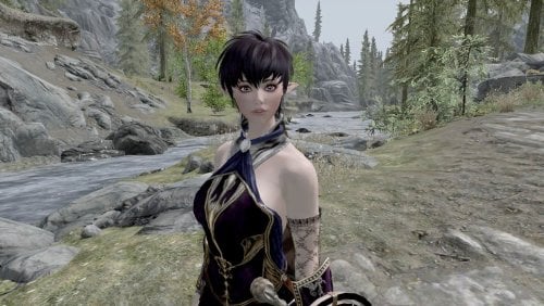 More information about "Fidget the Nordic elf Standalone Follower"